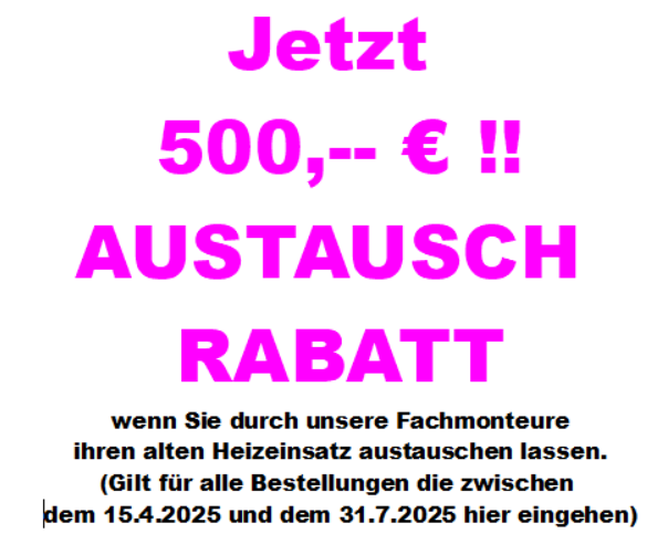 4-Kamineinsatz mit Garantie,Kamineinsatz Austauschpflicht,Kamineinsatz BimschV2